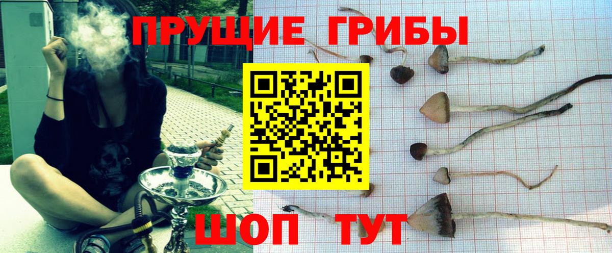 Галлюциногенные грибы GOLDEN TEACHER  Вход с VPN  Каспийск 
